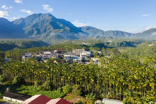 Vista Aérea Del Paisaje Yuchi Con Árboles Betel Nantou Taiwán —  Fotos de Stock