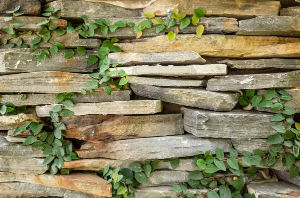 Muro Pietra Con Sfondo Verde Muschio — Foto Stock