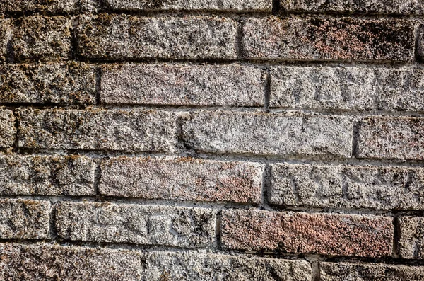 Parede Tijolo Cinza Com Fundo Textura Áspera — Fotografia de Stock