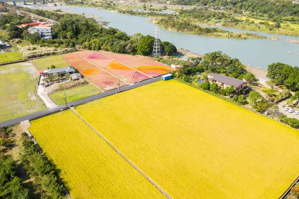 Daxi Taiwan November 14Th 2019 Aerial View Garden Daxi Event — Stock Photo, Image