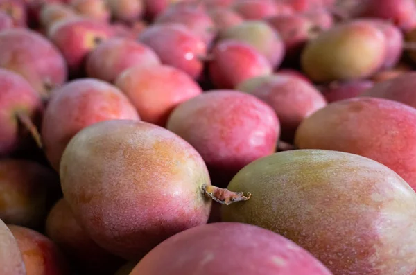 Stapel Von Mangofrüchten Leuchtend Roter Farbe Auf Dem Traditionellen Markt — Stockfoto