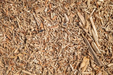 Çatlak ahşap ve yerde kereste talaşı.