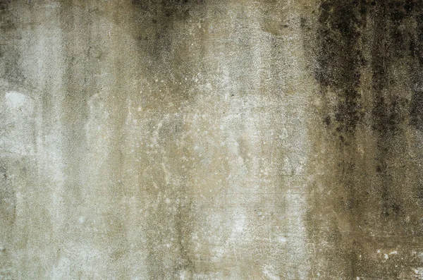 Цвілий Фон Стіни Гранжева Текстура Брудної Цементної Стіни — стокове фото