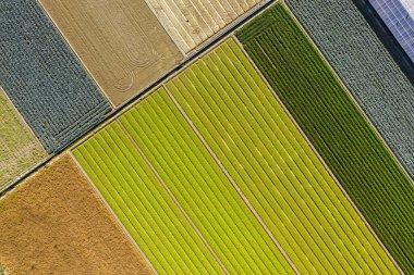 Changhua, Tayvan 'da güneş enerjisi üreten binalarla renkli çiftliğin havadan görünüşü