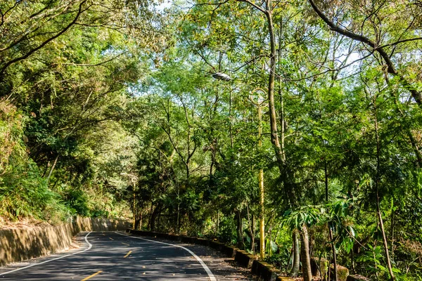 Strada Curva Sotto Albero Della Città Con Nessuno — Foto Stock