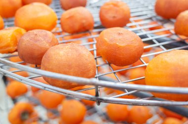 Xinpu kasabası, Hsinchu, Tayvan 'da güneşin altında kurutulmuş hurmalar.