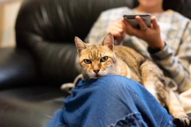 Kadın kedisini bacaklarından tutup evde onunla oynuyor.