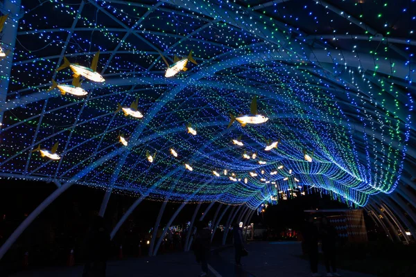 Taichung City Taiwan Février 2020 Festival Lanternes Avec Des Touristes — Photo