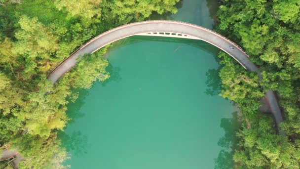 Tájkép Víz Feletti Légi Kilátás Sun Moon Lake Nantou Tajvan — Stock videók
