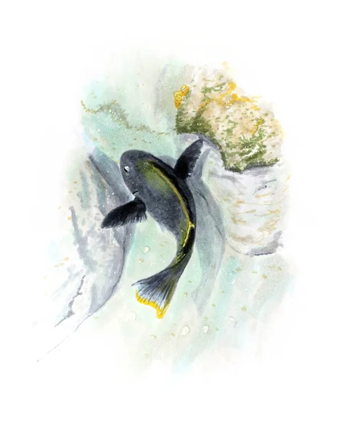 Ilustración dibujada a mano con peces de coral negro — Foto de Stock