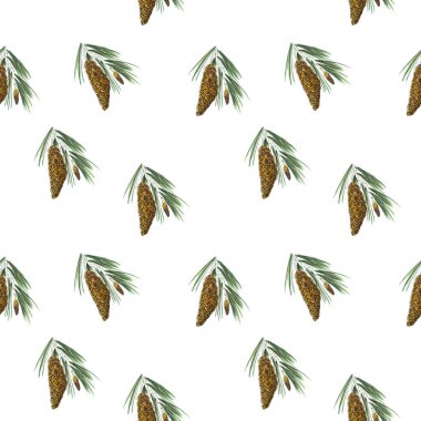 Elle çizilmiş çam kozalağı ile sorunsuz arka plan