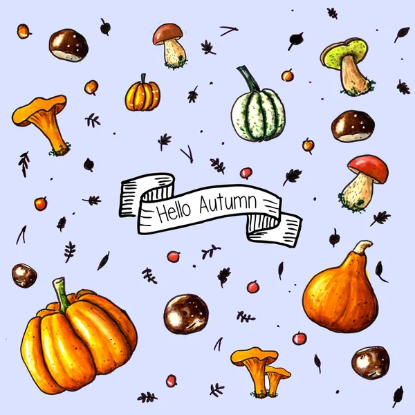 Kreslené pozadí s dýně, podzimní Fruity a houby — Stock fotografie