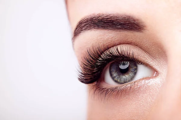 Female Eye Extreme Long False Eyelashes Eyelash Extensions Makeup Cosmetics — Stock Photo, Image