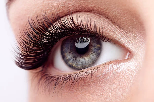 Ojo Femenino Con Pestañas Falsas Extremas Largas Extensiones Pestañas Maquillaje — Foto de Stock