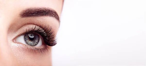 Weibliches Auge mit langen falschen Wimpern — Stockfoto