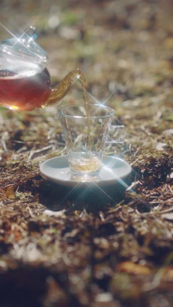 女人把杯子茶壶里的茶倒进杯子里 茶会在露天举行 森林里的一个杯子和茶壶的特写 — 图库视频影像