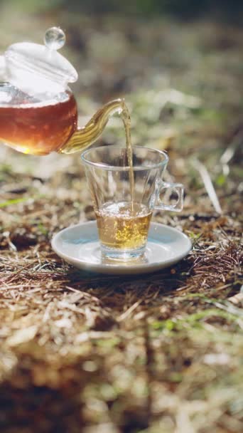 Kobieta Wlewa Herbatę Szklanego Czajnika Szklanego Kubka Herbatka Świeżym Powietrzu — Wideo stockowe