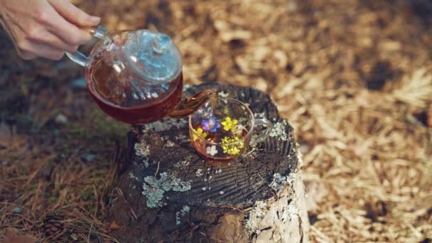 女人把杯子茶壶里的茶倒进杯子里 茶会在露天举行 森林里的一个杯子和茶壶的特写 — 图库视频影像