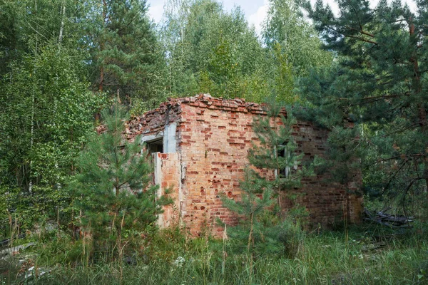 Glade Zien Ruïnes Van Gebouw Verlaten Bos — Stockfoto