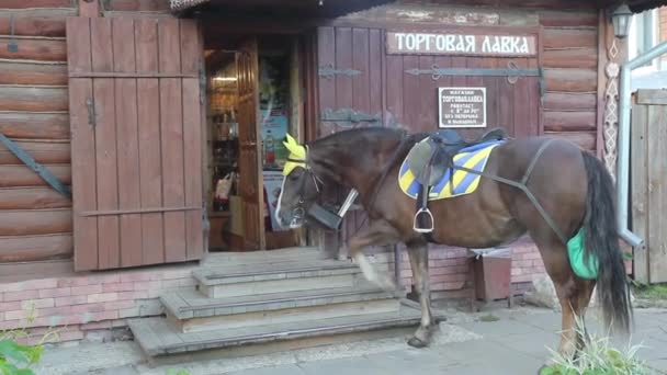 Suzdal Russie Août 2018 Une Petite Ville Ressemble Village Cheval — Video