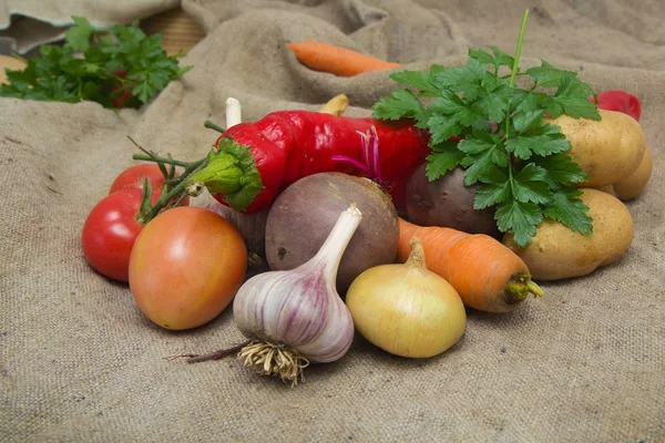 Small Set Vegetables Collected Garden Beds Autumn — Stock Photo, Image