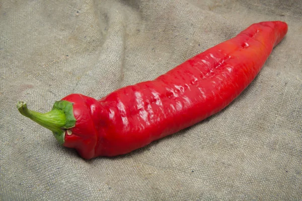 One Single Hot Red Pepper Lies Sackcloth — Stock Photo, Image