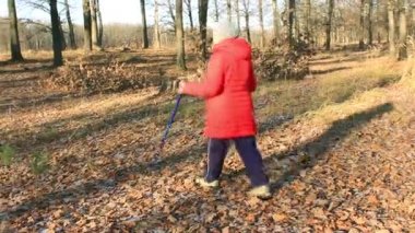  Sonbahar Park. Kasım. Nordic walking yaşlı kadın nişanlı