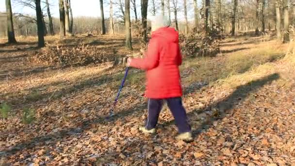 秋天公园 十一月 从事越野行走的老年妇女 — 图库视频影像