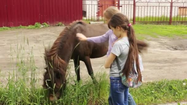 Twee Meisjes Worden Gevoed Pony Brood Zomerdag — Stockvideo