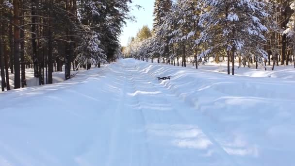 Voo Drone Floresta Inverno Acima Estrada Coberta Neve — Vídeo de Stock