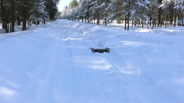 Drone Fart Vinter Skog Från Snötäckta Vägen — Stockvideo