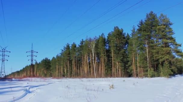 Ρωσία Δύο Γραμμές Μεταφοράς Ενέργειας Στο Δάσος Χειμώνα Φεβρουάριος — Αρχείο Βίντεο