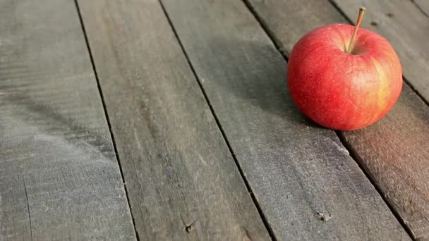 Agricultor Vierte Puñado Manzanas Secas Vieja Mesa — Vídeo de stock