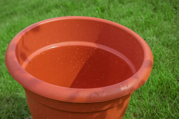 Plastic ornamental flowerpot is new on a grass — Stock Photo, Image