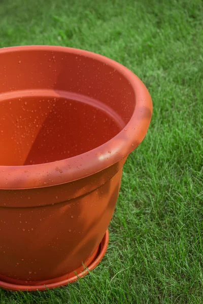 One plastic ornamental flowerpot is new on a grass — Stock Photo, Image