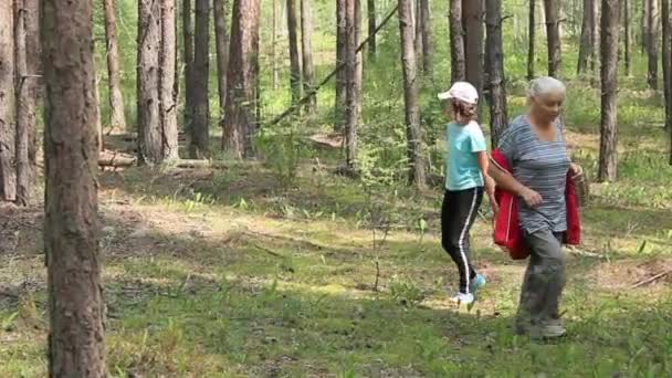 Nagymama Unokája Séta Erdőben Megtalálni Gomba — Stock videók