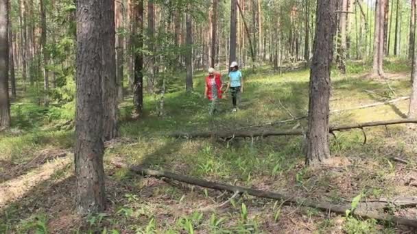 Бабуся Онука Пішли Ліс Липні Шукати Гриби — стокове відео