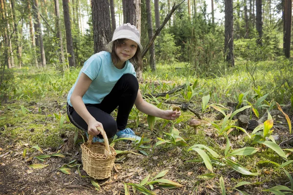 Tonårsflickan i skogen samlar svamp — Stockfoto