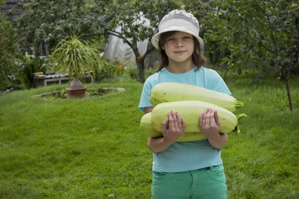 Adolescente en un jardín con calabacines frescos —  Fotos de Stock