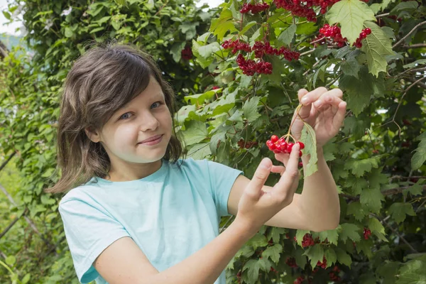 Девочка-подросток и ягоды вибурнума на ветвях среди садов — стоковое фото