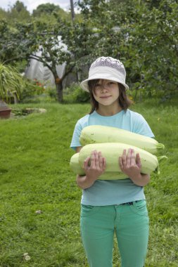 Ellerinde üç kabak tutan kız