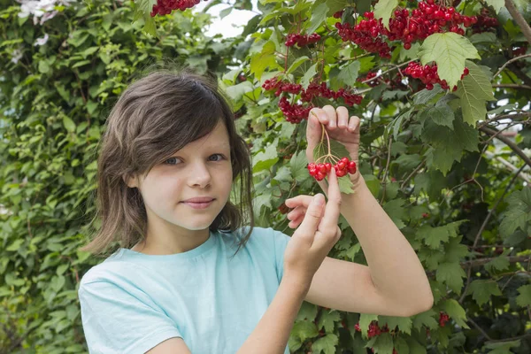 Menina adolescente e bagas maduras de viburnum em ramos entre foli — Fotografia de Stock