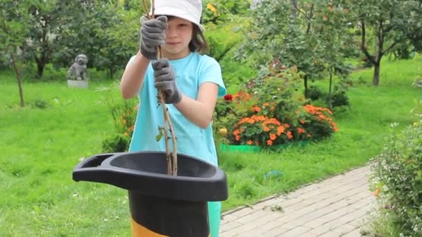 Ogród Rozdrabniacz Śmieci Dziewczyna Jest Łatwo Kontrolowane Pomocą Mechanizmu — Wideo stockowe