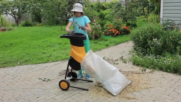 Dziewczyna Pomaga Starsi Przetwarza Gałęzie Niszczarka Ogrodowa Ogrodzie Sierpniu — Wideo stockowe