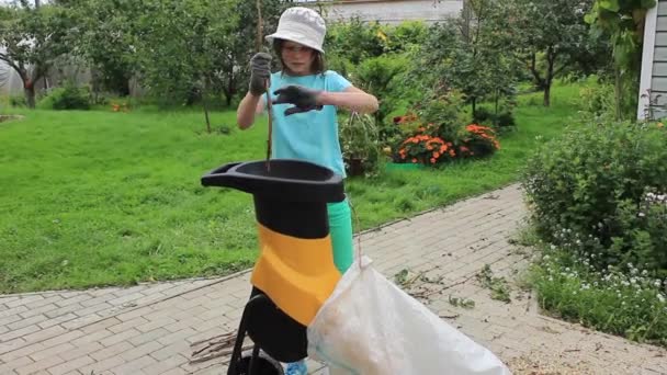 Meisje Verwerkt Takken Met Een Tuin Shredder Tuin Augustus — Stockvideo