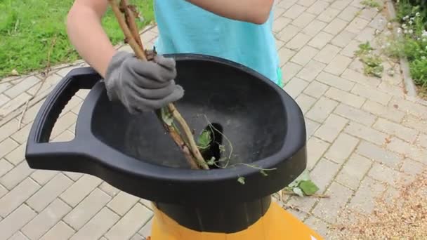 Elektrischer Gartenschredder Arbeitet Sommergarten Recycelt Äste — Stockvideo