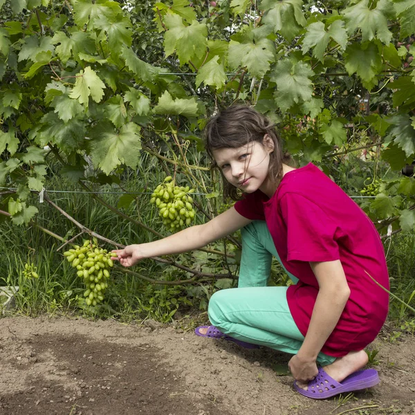 Girlie in zomertuin probeert druivensoort — Stockfoto