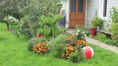 Çiçek yatakları arasında Yaşlı kadın bahçe yürür ve onları denetler