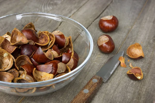 Chestnut shell taken for therapeutic purposes, on grey rustic wo — Stock Photo, Image