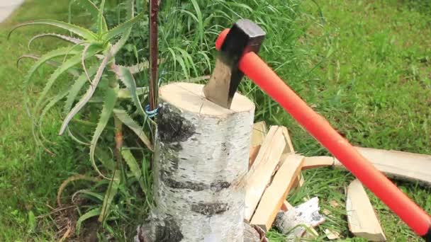 Persiapan Untuk Musim Panas Birch Kayu Bakar Dicincang Dengan Kapak — Stok Video